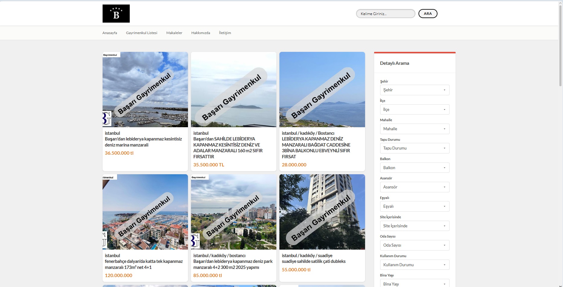Website Görünümü